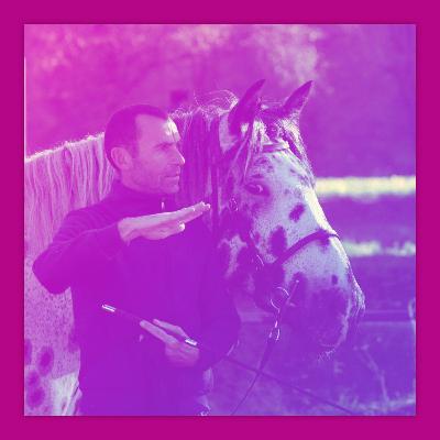 #43 🎙 Headshaking ist heilbar mit Tierarzt Markus Scheibenpflug