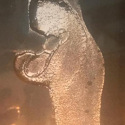 Padres: Primer Etapa Padres: Primer Etapa