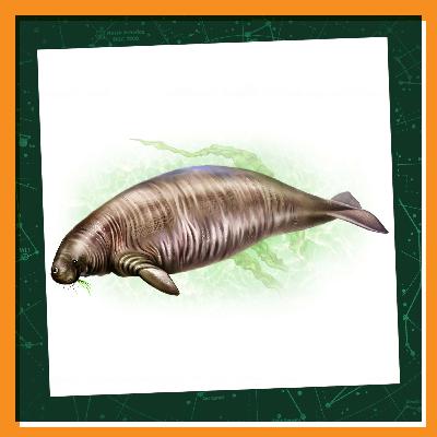 Getting to Know Steller’s Sea Cow