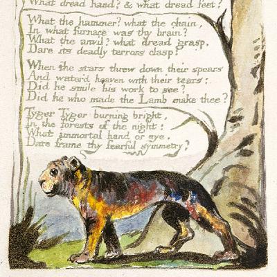 Episode 52 Education, Logic, Language, and Blake's The Tyger