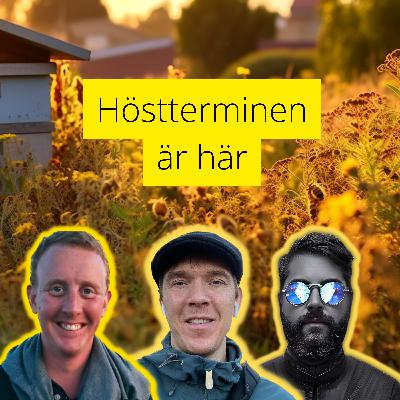 #39 - Höstterminen är här!
