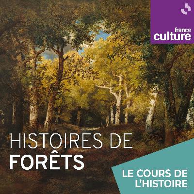 Histoires de forêts 4/4 : Brocéliande, quand la légende cache la forêt