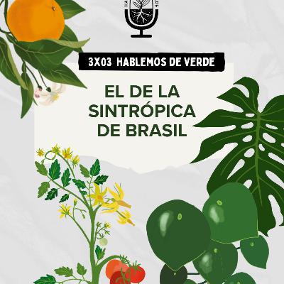 El de la sintrópica de Brasil | 3x03 | Hablemos de verde