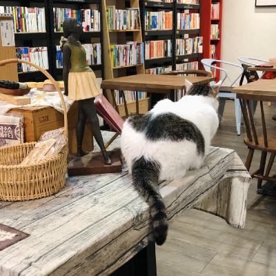 EP17 書三連發!! (っ'-')╮=͟͟͞͞📖獨立書店、市集、近期愛書 EP17 書三連發!! (っ'-')╮=͟͟͞͞📖獨立書店、市集、近期愛書