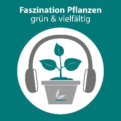 Pflanzen: Helden des Alltags