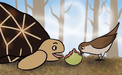 పిట్ట కథ - Episode 2