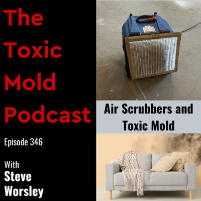 EP 346: Will an Air Scrubber Get Rid of Toxic Mold? EP 346: Will an Air Scrubber Get Rid of Toxic Mold?