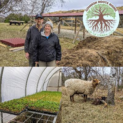 Gravel Road Farm - Brigid Ferkett