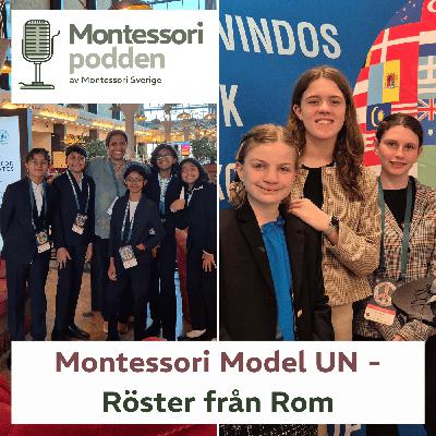 Montessori Model UN - Röster från Rom