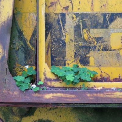 THIS PODCAST MOVING TO SOUNDCLOUD RIGHT SOON! Bookmark this link https://soundcloud.com/blowin-1 Rob Walsh & Blowin 17 Jan 2021