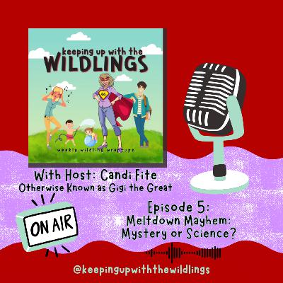 Meltdown Mayhem: Mystery or Science? Meltdown Mayhem: Mystery or Science?