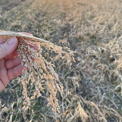 On Farm Trials ft. Eric Odberg and Joni Kindwall-Moore