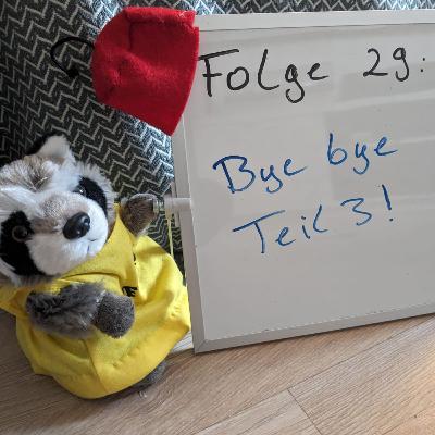 29 Wie man Freunde gewinnt - Kapitel 20 und 21 Bye bye Teil 3