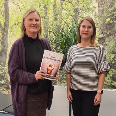 Mitä tapahtuu asuntomarkkinoilla?