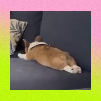 如果不为了减肥，我们为什么还要运动？