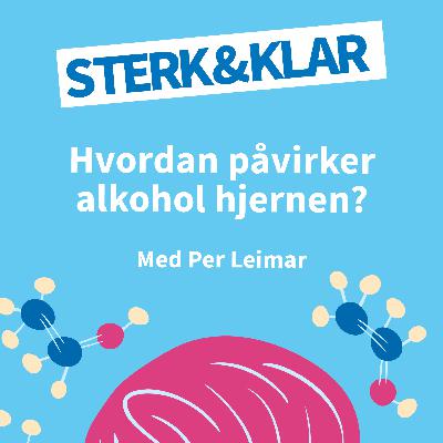 Hvordan påvirker alkohol hjernen?