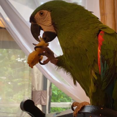 Beta episode. Seeing how it works.