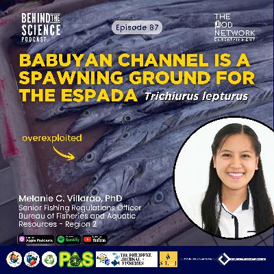 Ep87 - Spawning ground at risk - Overfishing of espada in Babuyan Channel