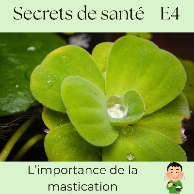 Bien mâcher pour bien digérer : la puissance insoupçonnée de la mastication - S7E4