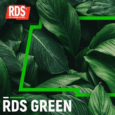 RDS Green - 17-03-2026 14:05 RDS Green - 17-03-2026 14:05