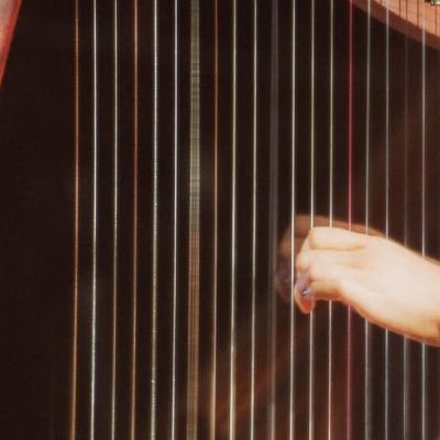 30th Festival of Youth Orchestras takes place this weekend