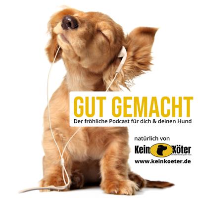 Fehler machen im ersten Hundejahr