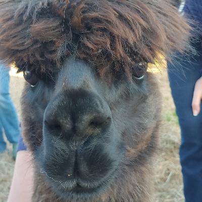 Chesapeake City in Maryland