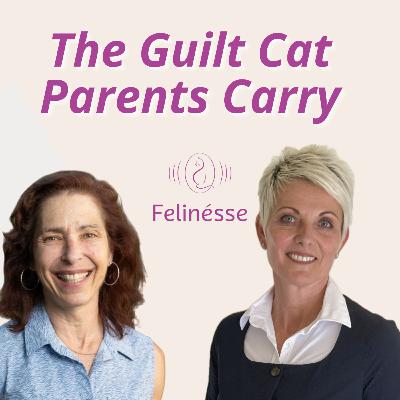 The Hidden Guilt Many Cat Parents Feel | With Dr. Lori Kogan