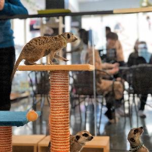 33 - Dead Ends #10 33 - Dead Ends #10