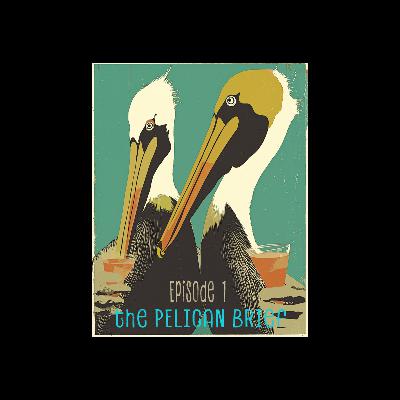 The Pelican Brief