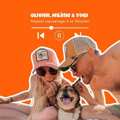 Mission sauvetage d'un chien de la Réunion - Bonjourescape