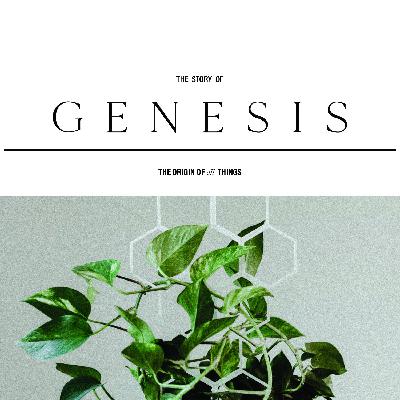 What To Do When The Going Gets Tough