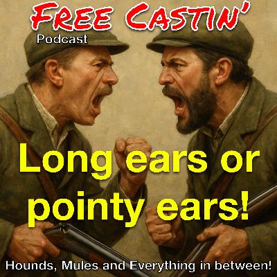 The debate about long ears or pointy ears!