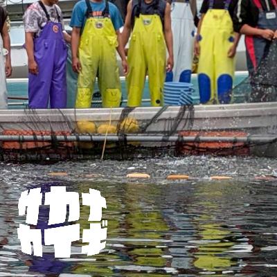 コトバ :: オモカジはどっちで、トリカジはどっちだ。海のコトバに潜る〈サカナダンギ〉