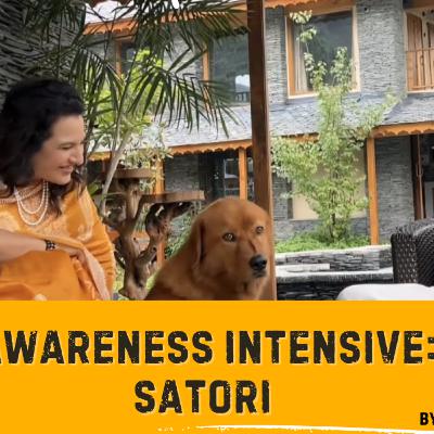 In-depth into Awareness Intensive: Satori
