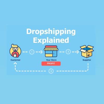 Apasih bisnis dropship?