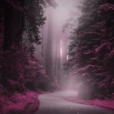 La Puissance de L’Unité