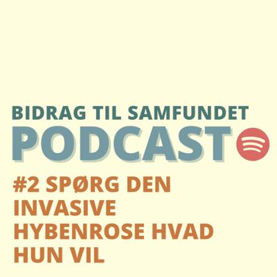 BTS#2: Spørg den invasive hybenrose hvad hun vil