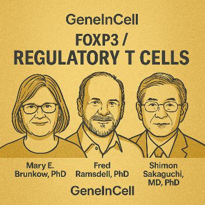 Nobel Winning Breakthrough: Unpacking Peripheral Immune Tolerance | GeneInCell