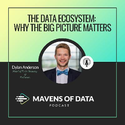 The Data Ecosystem: Why the Big Picture Matters (w/ Dylan Anderson)