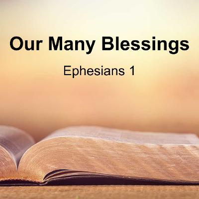 Our Many Blessings