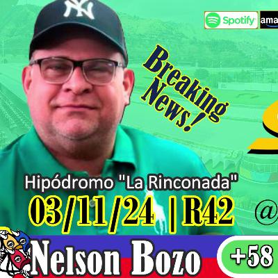 Nelson Bozo "El triple coronado del Zulia" | #LaRinconada 03/11/24 | R42 | Marcas5y6 #adelantados 🏇🏆