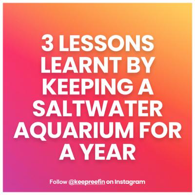 S1-01// Three Lessons I learned after 1 year in this hobby