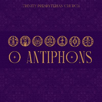O Adonai | Advent series on the 'O Antiphons'