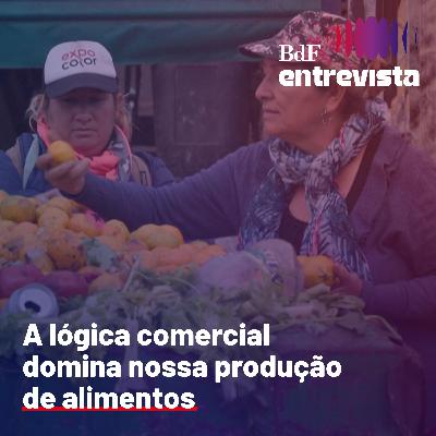 #408 - “A lógica comercial domina nossa produção de alimentos” | BdF Entrevista Flávia Schiochet