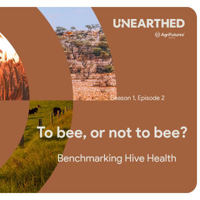 To bee, or not to bee?