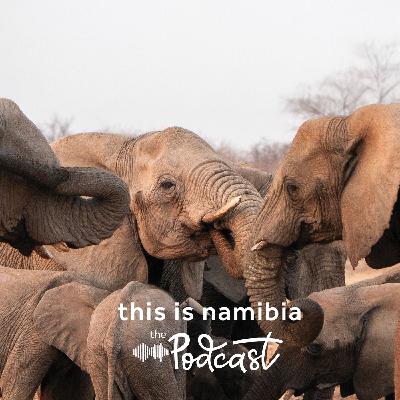 A Century of stewardship:  The history of conservation in Etosha National Park