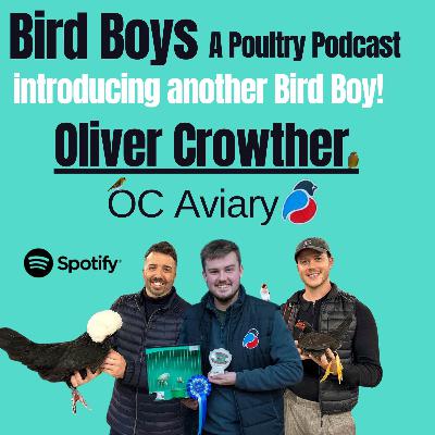 Introducing another Bird Boy - Oliver Crowther (OC Aviary)