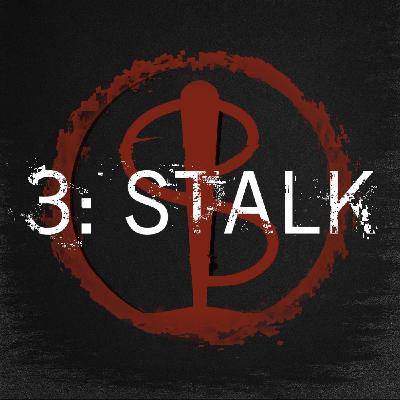 Episode Three: Stalk