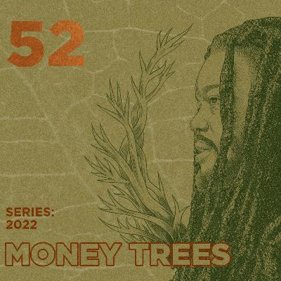 Money Trees #52 - Black Dave Money Trees #52 - Black Dave